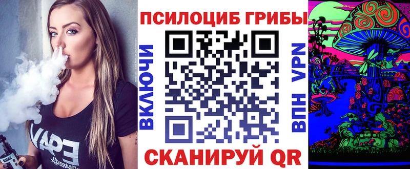 darknet клад  Лодейное Поле  Псилоцибиновые грибы GOLDEN TEACHER 